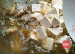 酸酸辣辣的酸菜鱼的做法图解16