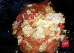 张氏西红柿炒蛋的做法图解9