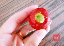 山楂果肉酱的做法图解5