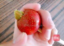 山楂果肉酱的做法图解6