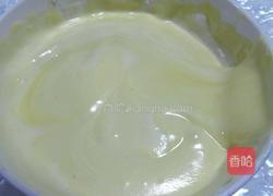 花纹酸奶蛋糕卷的做法图解18