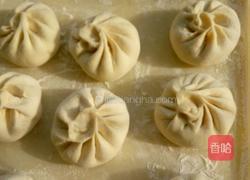 猪肉白菜包的做法图解9