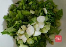 炒黄豆芽的做法图解3