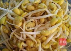 炒黄豆芽的做法图解4