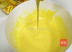 斑马纹戚风蛋糕的做法图解7