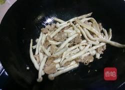 海鲜菇炒肉的做法图解9