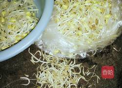 素炒黄豆芽的做法图解1