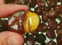 糖烤栗子