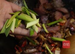 萝卜干炒腊肉的做法图解9