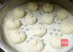 杂蔬鲜肉包的做法图解16