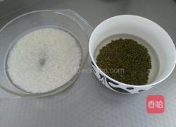 砂锅大米绿豆煲的做法图解4