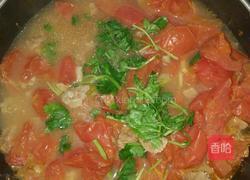 西红柿炖牛腩的做法图解6