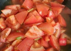 西红柿炖牛腩的做法图解4