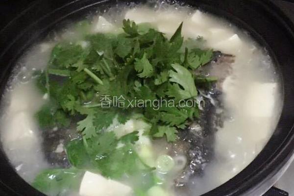鱼头豆腐汤