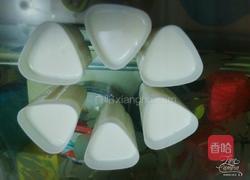 酸奶的制作过程的做法图解4