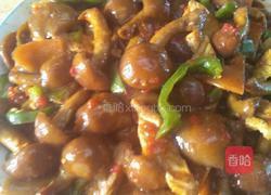 滑子蘑的做法图解10