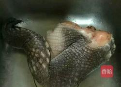 鳄鱼汤的做法图解2