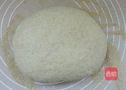 粗粮麦麸主食面包的做法图解10