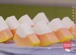 木瓜牛奶冻的做法图解5