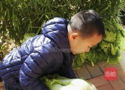 正宗韩国辣白菜的做法图解1