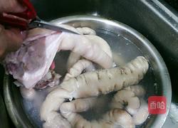 肥肠鸡火锅的做法图解17