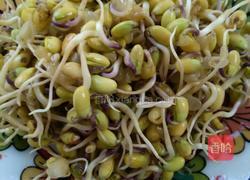 炒豆芽的做法图解1