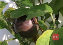 炸茄夹的做法图解1