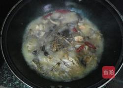 茶树菇闷鸡肉的做法图解9