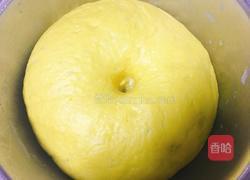 南瓜奶香馒头的做法图解7