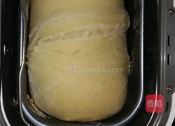 葡萄干面包的做法图解4