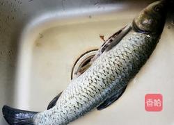 水煮鱼的做法图解1