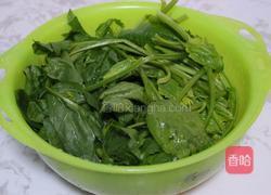 菠菜拌粉条的做法图解2