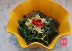 菠菜拌粉条的做法图解5