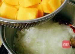 青木瓜雪耳糖水的做法图解7