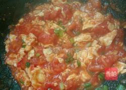 番茄炒蛋的做法图解12