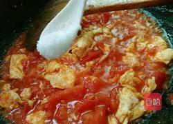 番茄炒蛋的做法图解11
