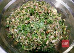 香菜香菇猪肉馅饺子的做法图解8