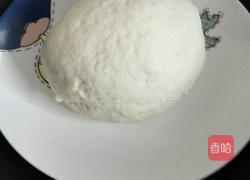 韭菜虾仁鸡蛋饺子的做法图解1