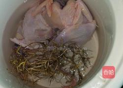 清炖鸽子汤的做法图解2