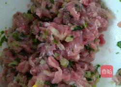 菠菜汁肉饺的做法图解1