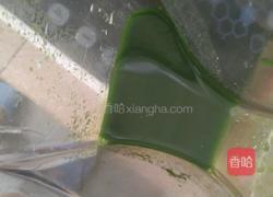 菠菜汁肉饺的做法图解2