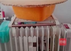 鲜虾肉包的做法图解1