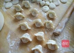 红肉饺子的做法图解10