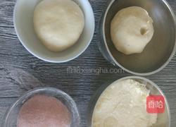 荷花酥的做法图解6