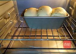 香葱吐司的做法图解11