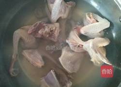 炖鸽子汤的做法图解3