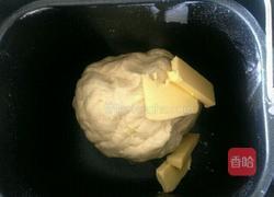 酸奶全麦欧包的做法图解2