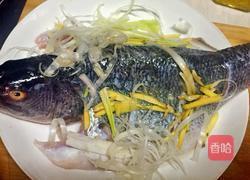 清蒸鲈鱼的做法图解4