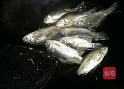 野生鲫鱼汤的做法图解3