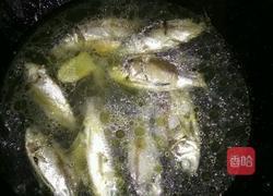 野生鲫鱼汤的做法图解5